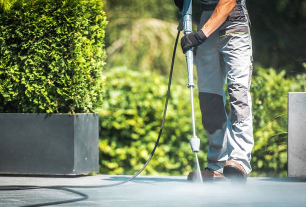 Best Driveway Pressure Washing  in Richmond, MN