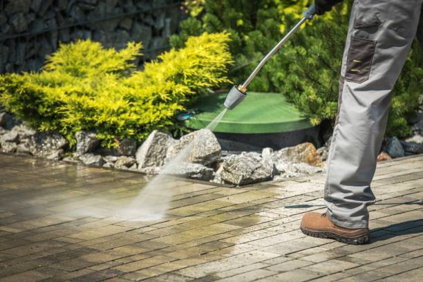 Best Animal Enclosure Cleaning  in Richmond, MN